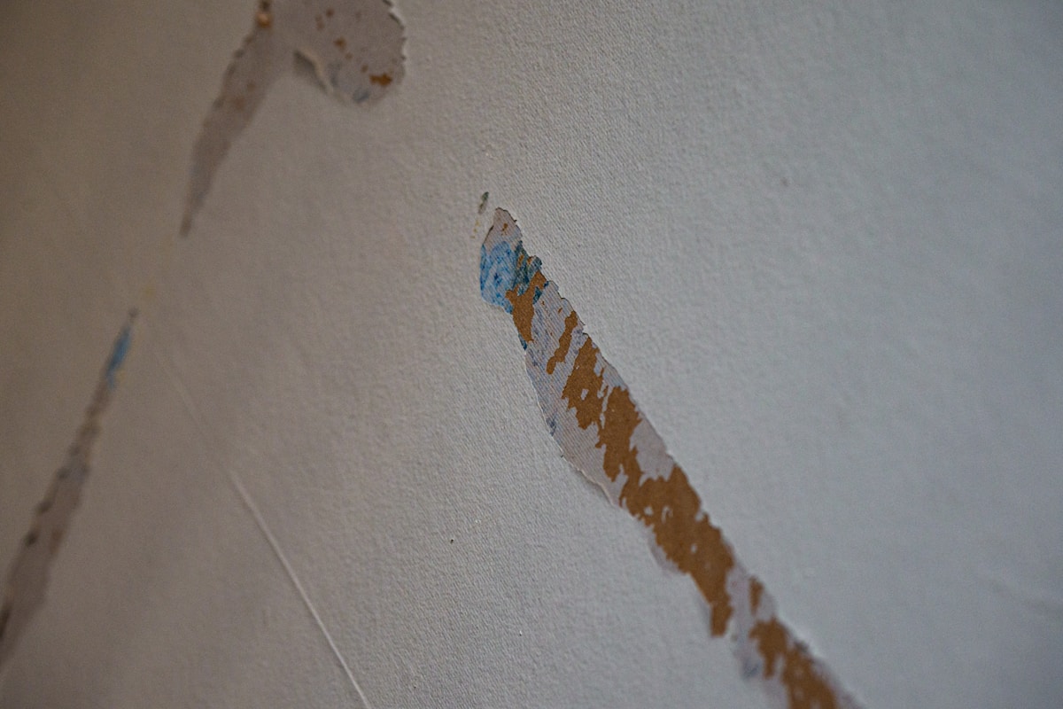 Basement Water Removal service in Noblesville, IN